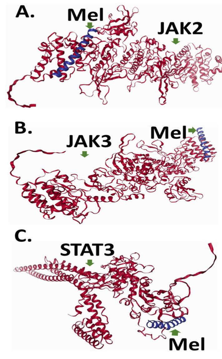 https://cdn.ncbi.nlm.nih.gov/pmc/blobs/c2ad/11989111/392d42c0ae04/ijms-26-02903-g006.jpg