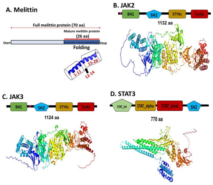 https://cdn.ncbi.nlm.nih.gov/pmc/blobs/c2ad/11989111/6acdb23455ce/ijms-26-02903-g005.jpg