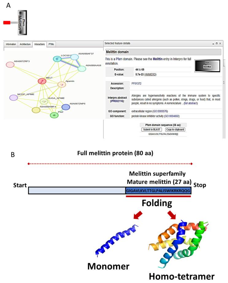 https://cdn.ncbi.nlm.nih.gov/pmc/blobs/c2ad/11989111/7c9aed00cc64/ijms-26-02903-g004.jpg
