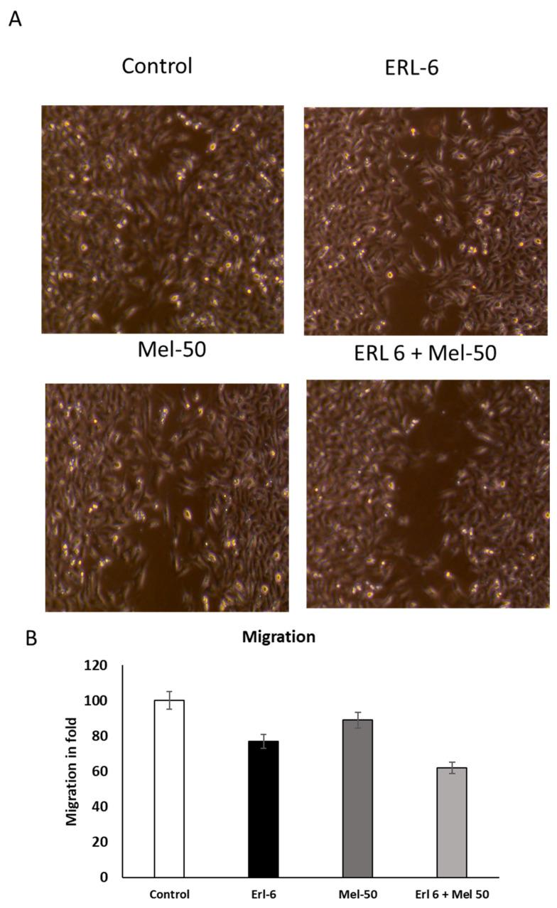 https://cdn.ncbi.nlm.nih.gov/pmc/blobs/c2ad/11989111/e68e8468bcb7/ijms-26-02903-g002.jpg