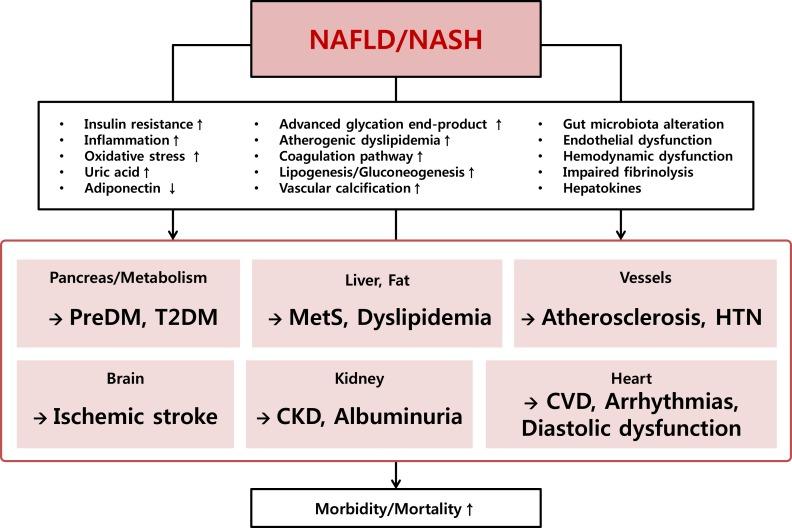 https://cdn.ncbi.nlm.nih.gov/pmc/blobs/c2ad/5741551/20bfcfaedff0/dmj-41-430-g001.jpg