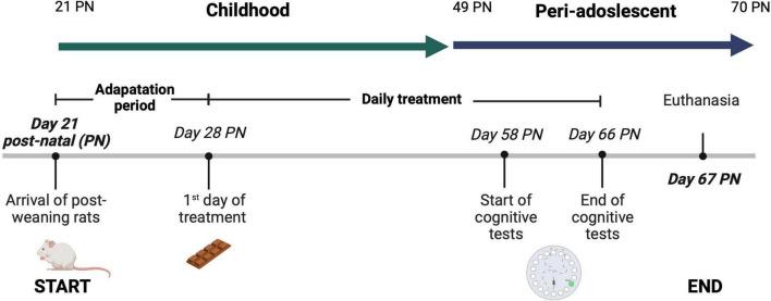 https://cdn.ncbi.nlm.nih.gov/pmc/blobs/c2ae/9712752/8f7afb5d433d/fnut-09-1023653-g001.jpg