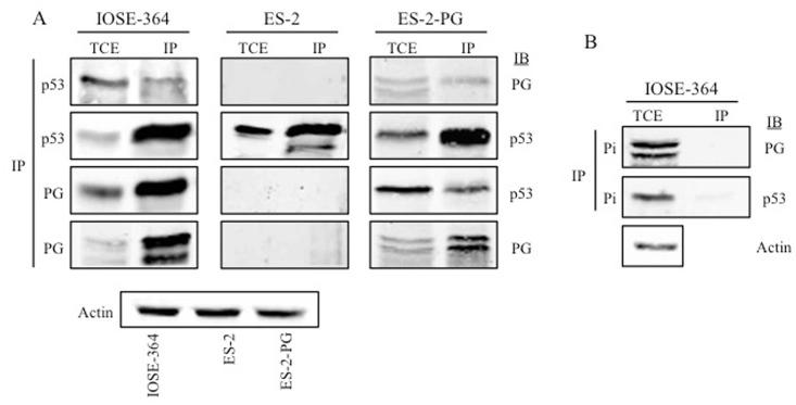 https://cdn.ncbi.nlm.nih.gov/pmc/blobs/c2b1/4856367/bdb0f0e24136/pone.0154323.g005.jpg
