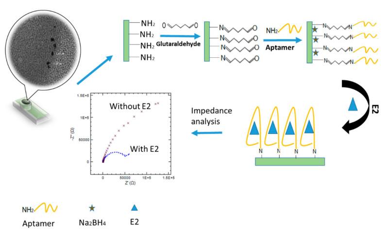 https://cdn.ncbi.nlm.nih.gov/pmc/blobs/c2b1/8156954/54d4dbdddcda/molecules-26-02940-g012.jpg