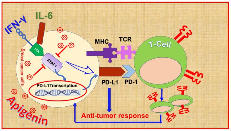 https://cdn.ncbi.nlm.nih.gov/pmc/blobs/c2b1/8159140/cc92f9f5e157/nutrients-13-01718-g004.jpg