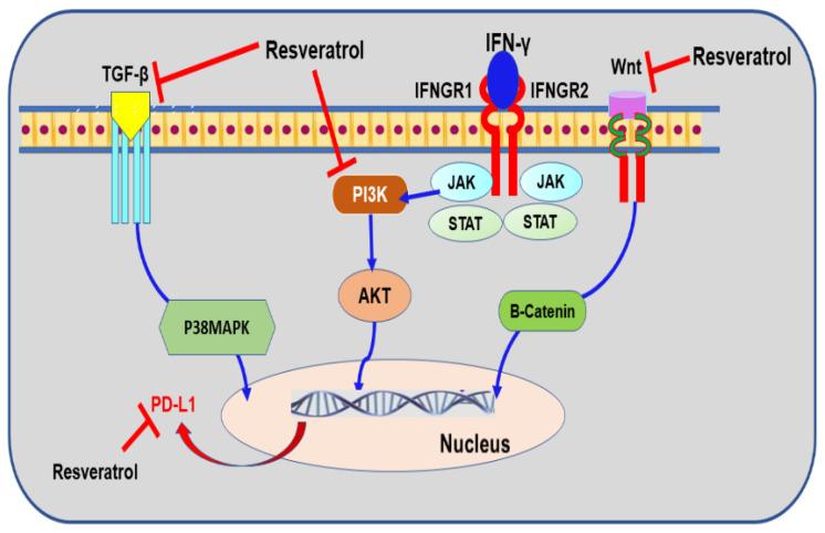 https://cdn.ncbi.nlm.nih.gov/pmc/blobs/c2b1/8159140/f255ac124172/nutrients-13-01718-g006.jpg