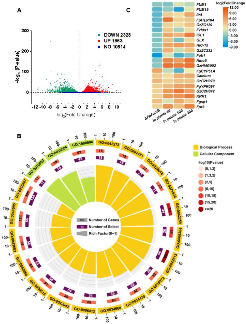 https://cdn.ncbi.nlm.nih.gov/pmc/blobs/c2b2/12196060/1e9d2a509908/microorganisms-13-01433-g006.jpg