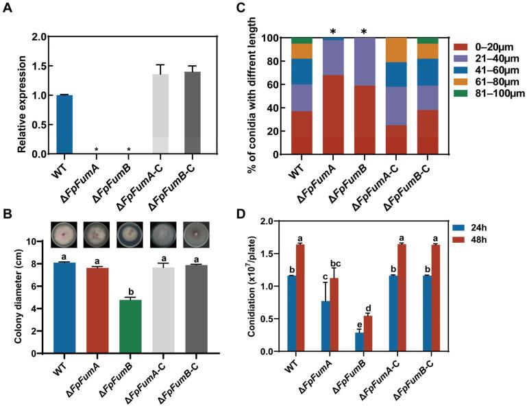 https://cdn.ncbi.nlm.nih.gov/pmc/blobs/c2b2/12196060/d352eed04de2/microorganisms-13-01433-g001.jpg