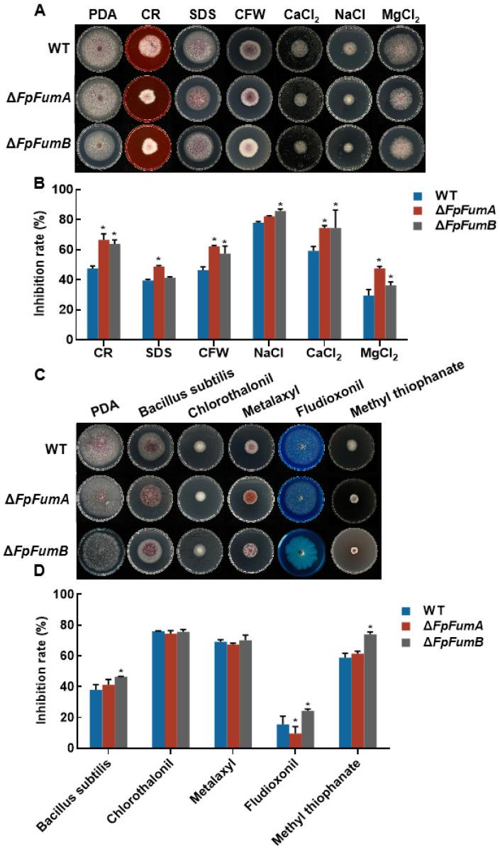 https://cdn.ncbi.nlm.nih.gov/pmc/blobs/c2b2/12196060/e4e4055bd2fc/microorganisms-13-01433-g002.jpg