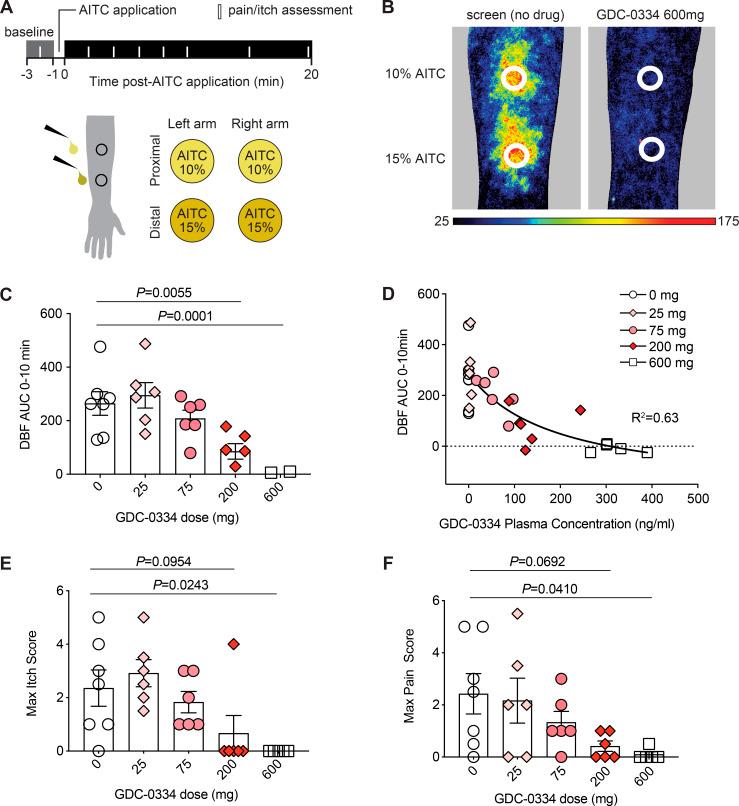 https://cdn.ncbi.nlm.nih.gov/pmc/blobs/c2b2/7918756/3c6266467375/JEM_20201637_Fig7.jpg