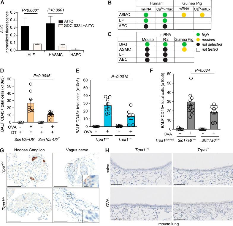 https://cdn.ncbi.nlm.nih.gov/pmc/blobs/c2b2/7918756/ec5bcb2c1a74/JEM_20201637_Fig1.jpg