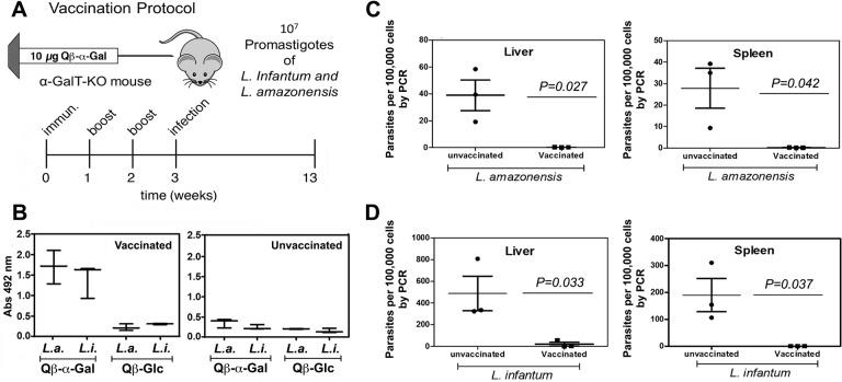 https://cdn.ncbi.nlm.nih.gov/pmc/blobs/c2b4/5620979/3ca69e5fb5d8/oc-2017-00311p_0004.jpg