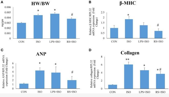 https://cdn.ncbi.nlm.nih.gov/pmc/blobs/c2b7/5479928/855682d0d0a2/fimmu-08-00719-g001.jpg