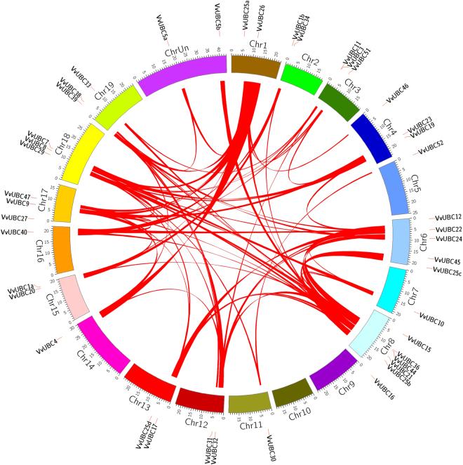 https://cdn.ncbi.nlm.nih.gov/pmc/blobs/c2b7/5643510/883fd180517c/41598_2017_13513_Fig4_HTML.jpg