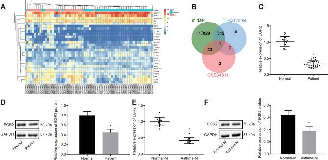 https://cdn.ncbi.nlm.nih.gov/pmc/blobs/c2b8/8117288/5535f03e9bbd/13578_2021_560_Fig4_HTML.jpg
