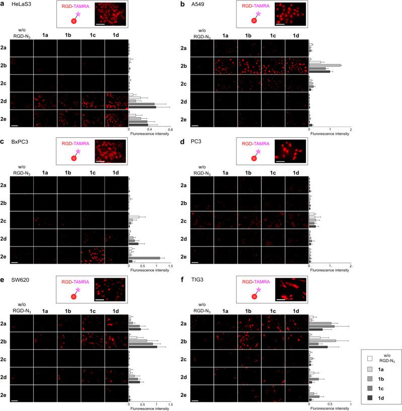 https://cdn.ncbi.nlm.nih.gov/pmc/blobs/c2b8/9814842/97898e5ce7de/42004_2020_270_Fig3_HTML.jpg