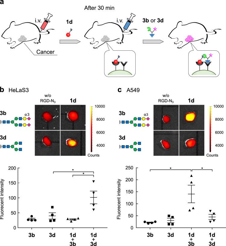https://cdn.ncbi.nlm.nih.gov/pmc/blobs/c2b8/9814842/ccdaa6184c04/42004_2020_270_Fig4_HTML.jpg