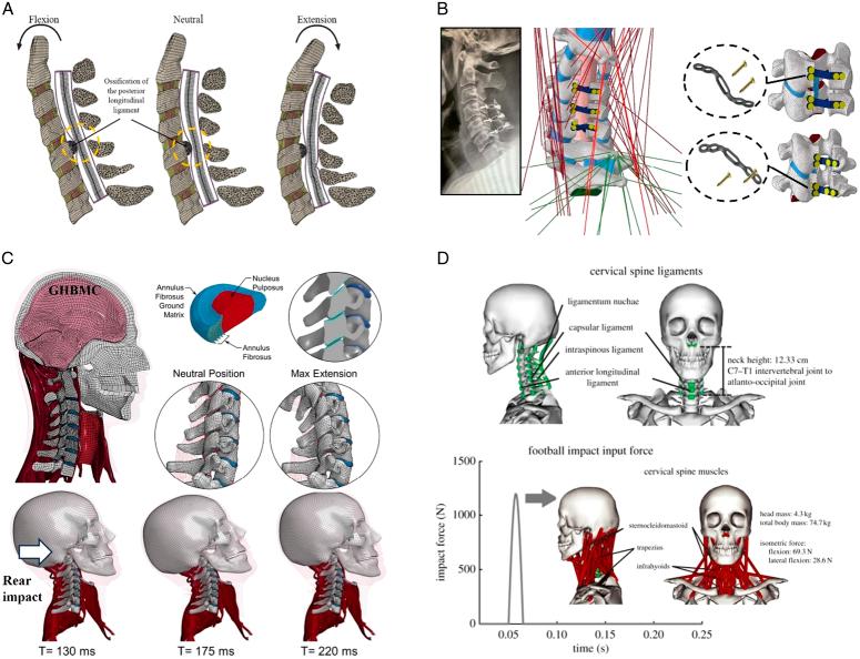 https://cdn.ncbi.nlm.nih.gov/pmc/blobs/c2b9/11745654/3660921380d2/js9-111-1042-g004.jpg