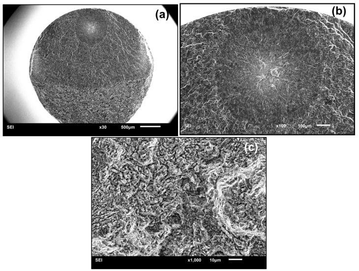 https://cdn.ncbi.nlm.nih.gov/pmc/blobs/c2b9/6163757/8d449109527a/materials-11-01778-g004.jpg