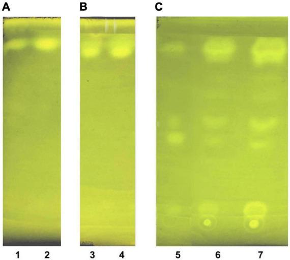 https://cdn.ncbi.nlm.nih.gov/pmc/blobs/c2b9/9851470/2b8ab63e7013/fmed-09-1078492-g005.jpg