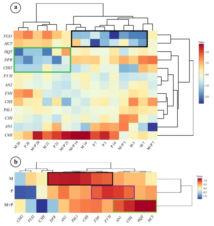 https://cdn.ncbi.nlm.nih.gov/pmc/blobs/c2ba/7175204/73b9fbf63cbb/biomolecules-10-00379-g005.jpg