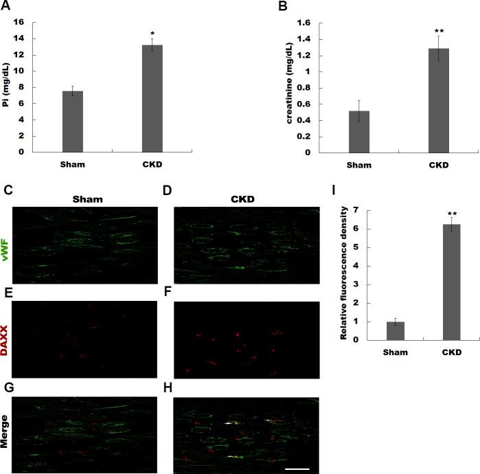 https://cdn.ncbi.nlm.nih.gov/pmc/blobs/c2ba/7307556/6628d335bcf5/peerj-08-9203-g001.jpg
