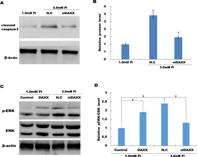 https://cdn.ncbi.nlm.nih.gov/pmc/blobs/c2ba/7307556/7e42daab757b/peerj-08-9203-g004.jpg