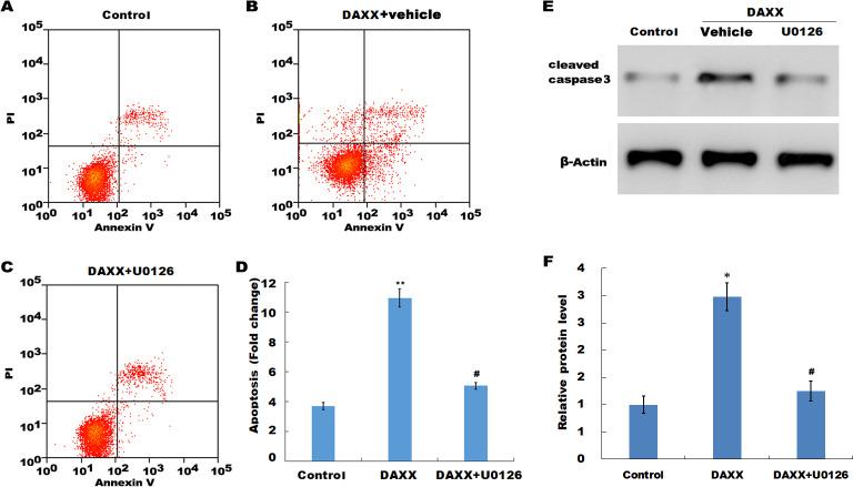 https://cdn.ncbi.nlm.nih.gov/pmc/blobs/c2ba/7307556/b7d0b8c0f79c/peerj-08-9203-g005.jpg