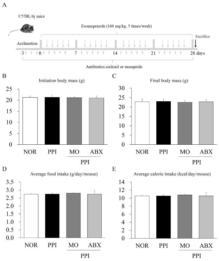 https://cdn.ncbi.nlm.nih.gov/pmc/blobs/c2bc/12108370/3149f25c1aa2/antibiotics-14-00442-g001.jpg