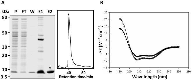 https://cdn.ncbi.nlm.nih.gov/pmc/blobs/c2bf/3093369/0906745126ca/ppat.1002042.g004.jpg