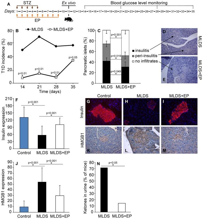 https://cdn.ncbi.nlm.nih.gov/pmc/blobs/c2c0/6335294/6a805585a3d1/fimmu-09-03130-g0001.jpg