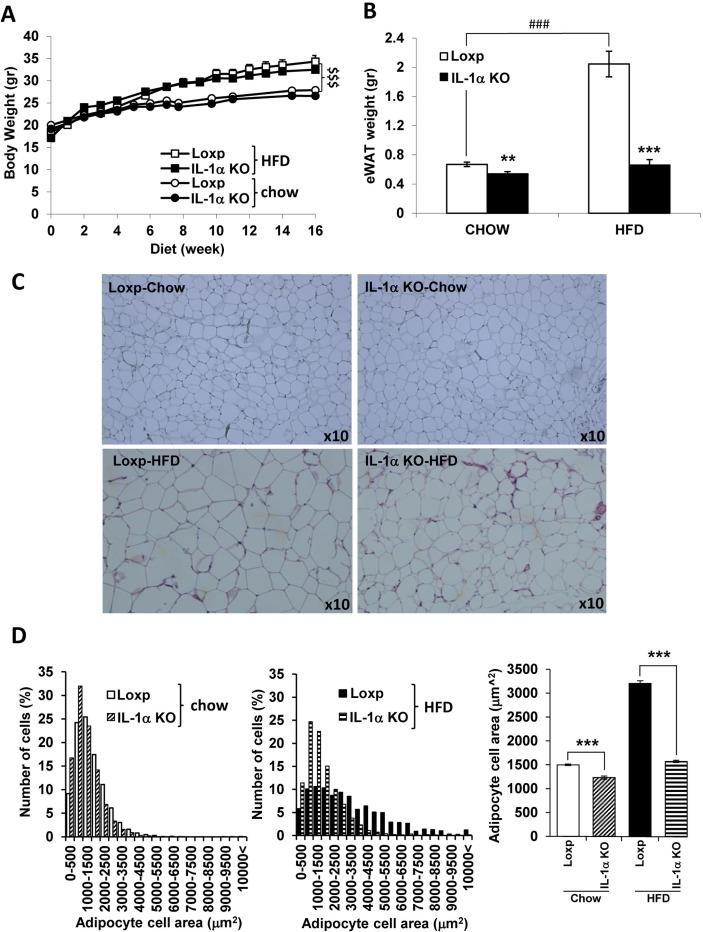 https://cdn.ncbi.nlm.nih.gov/pmc/blobs/c2c0/6827792/447eececc25f/bmjdrc-2019-000650f01.jpg
