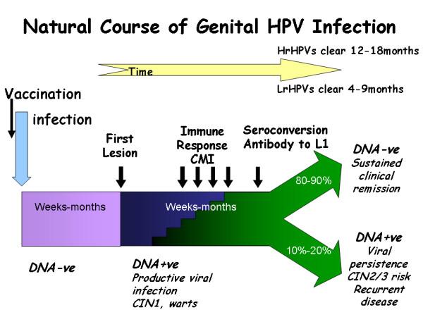 https://cdn.ncbi.nlm.nih.gov/pmc/blobs/c2c2/3161350/9ffd0fb9a29b/1750-9378-5-19-1.jpg