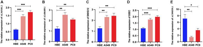 https://cdn.ncbi.nlm.nih.gov/pmc/blobs/c2c3/11210254/dc8271738b54/aging-16-205911-g009.jpg