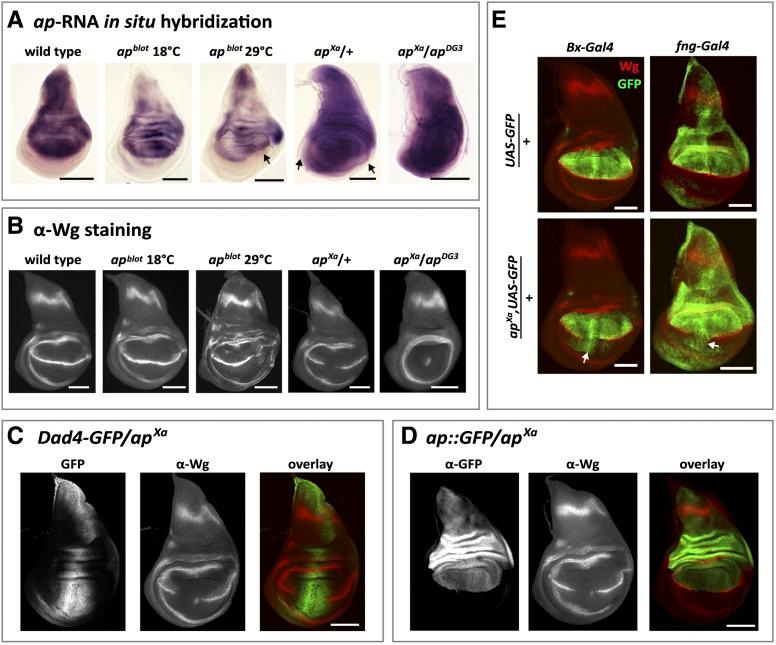 https://cdn.ncbi.nlm.nih.gov/pmc/blobs/c2c5/4478543/2cda53f69a90/1129f3.jpg