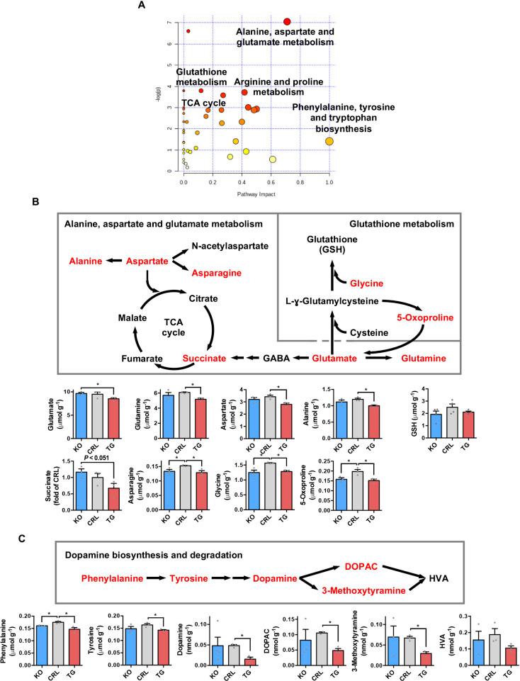 https://cdn.ncbi.nlm.nih.gov/pmc/blobs/c2c5/8148373/192a49687ac8/pbio.3001252.g005.jpg