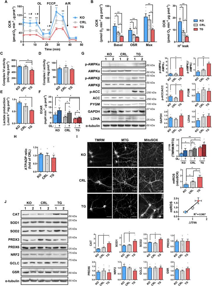 https://cdn.ncbi.nlm.nih.gov/pmc/blobs/c2c5/8148373/3a554dc1b1d0/pbio.3001252.g002.jpg