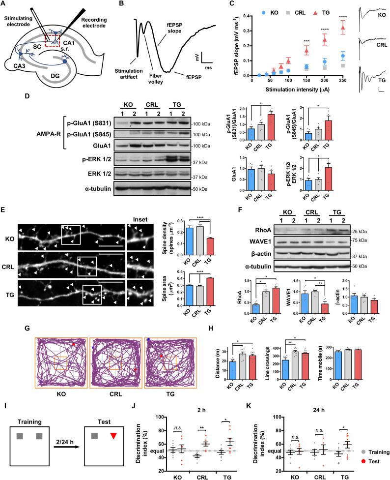 https://cdn.ncbi.nlm.nih.gov/pmc/blobs/c2c5/8148373/9027e07c13d3/pbio.3001252.g006.jpg
