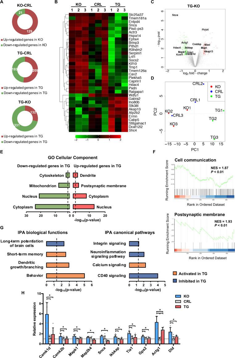 https://cdn.ncbi.nlm.nih.gov/pmc/blobs/c2c5/8148373/b391b19d244f/pbio.3001252.g003.jpg