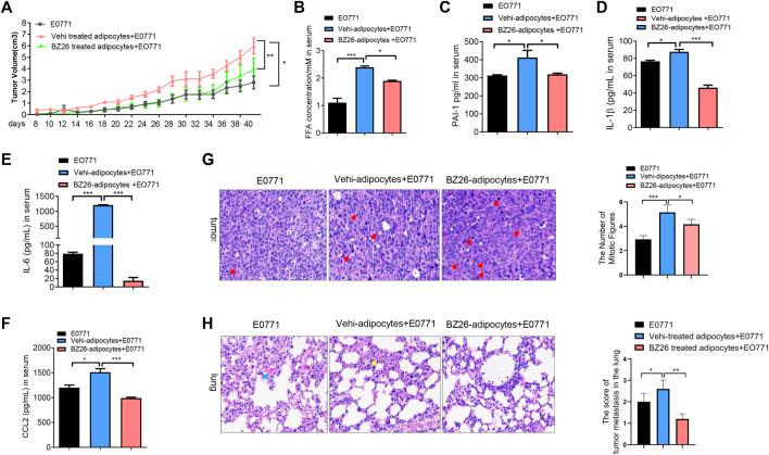 https://cdn.ncbi.nlm.nih.gov/pmc/blobs/c2c6/10462981/08b7c016d678/fphar-14-1205030-g003.jpg