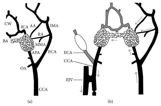 https://cdn.ncbi.nlm.nih.gov/pmc/blobs/c2c7/4663287/e780e7c8d2fb/BMRI2015-178407.002.jpg