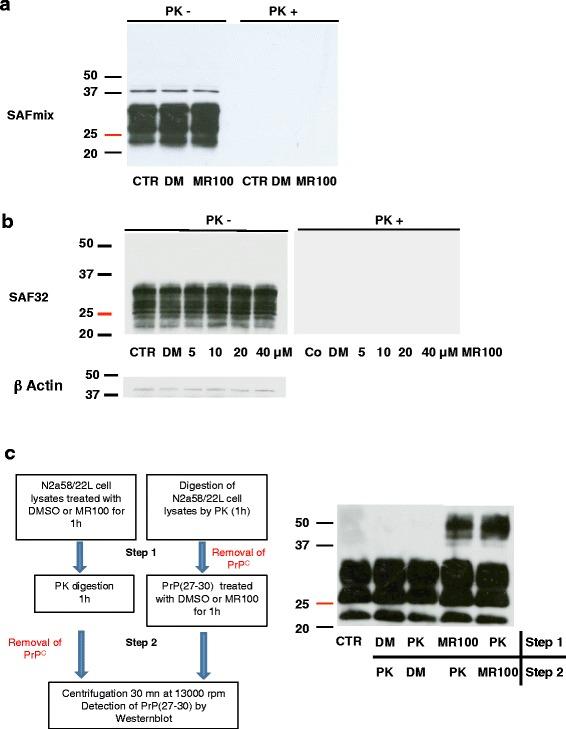 https://cdn.ncbi.nlm.nih.gov/pmc/blobs/c2c8/4727337/ba0e718bd457/13024_2016_74_Fig2_HTML.jpg