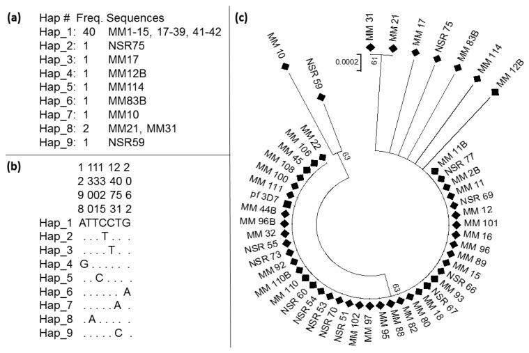 https://cdn.ncbi.nlm.nih.gov/pmc/blobs/c2ca/7345473/64740dc3c2e2/tropicalmed-05-00085-g004.jpg
