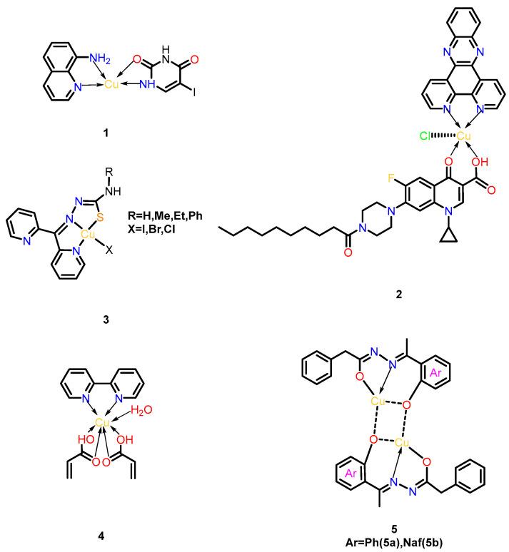 https://cdn.ncbi.nlm.nih.gov/pmc/blobs/c2cd/12298408/17a089e76d44/microorganisms-13-01570-g003.jpg