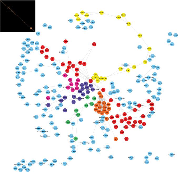 https://cdn.ncbi.nlm.nih.gov/pmc/blobs/c2cd/9269948/fea80d81d267/pcbi.1010203.g001.jpg