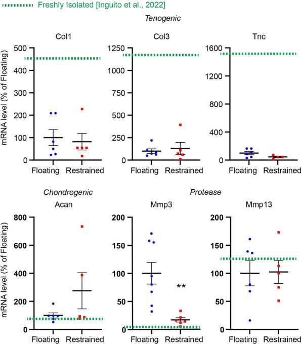 https://cdn.ncbi.nlm.nih.gov/pmc/blobs/c2d1/10314558/486e128a623d/13104_2023_6413_Fig2_HTML.jpg