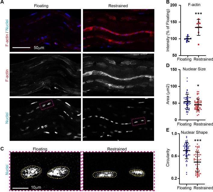 https://cdn.ncbi.nlm.nih.gov/pmc/blobs/c2d1/10314558/5c484e8ca84a/13104_2023_6413_Fig3_HTML.jpg