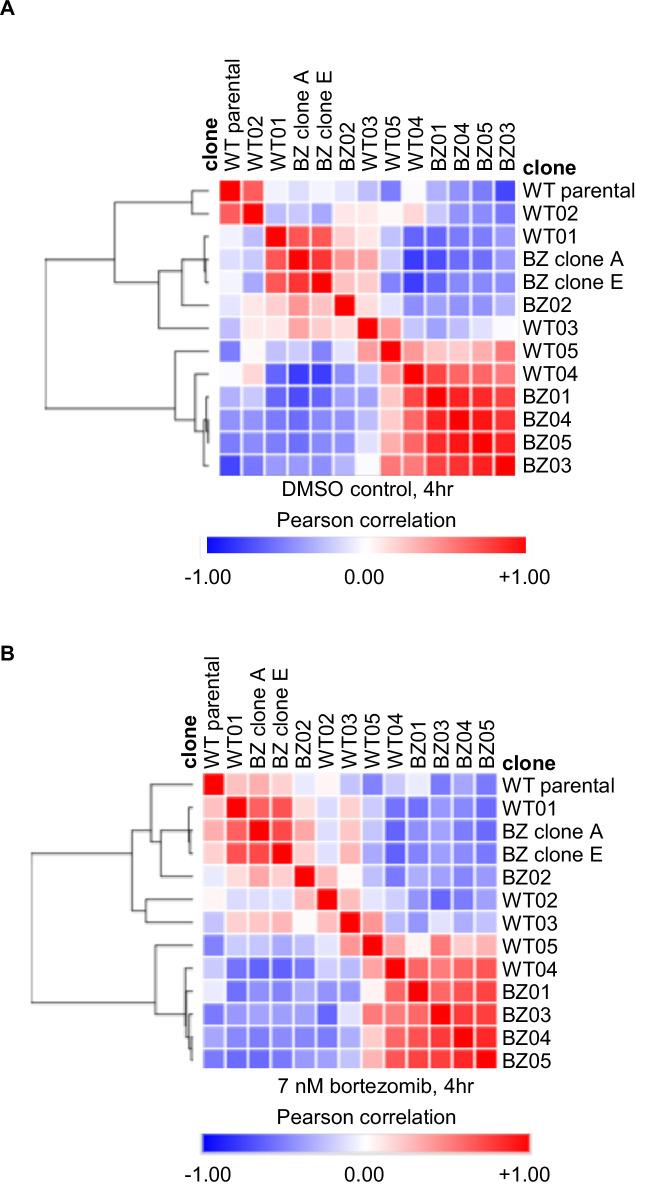 https://cdn.ncbi.nlm.nih.gov/pmc/blobs/c2d1/10584373/49df44d6575a/elife-91362-fig2-figsupp2.jpg