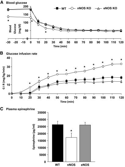 https://cdn.ncbi.nlm.nih.gov/pmc/blobs/c2d1/2809968/9592cb1bb7eb/zdb0021060150005.jpg