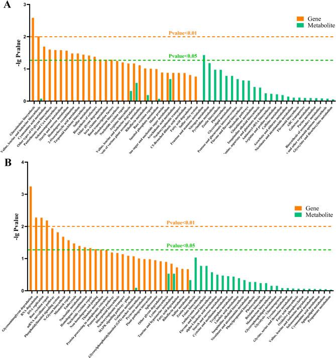 https://cdn.ncbi.nlm.nih.gov/pmc/blobs/c2d2/12379460/d59524a44c86/12870_2025_7150_Fig5_HTML.jpg